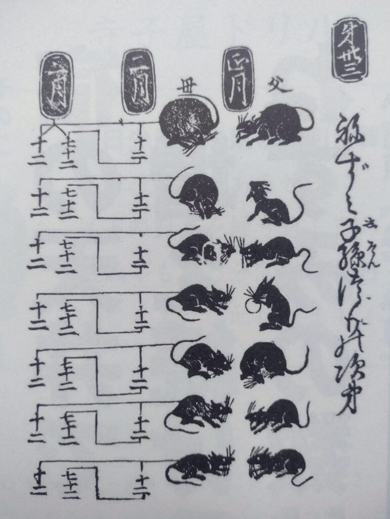 Zadanie o myszach z okresu Edo
